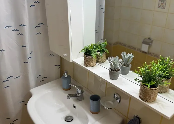 The Allatini Project *